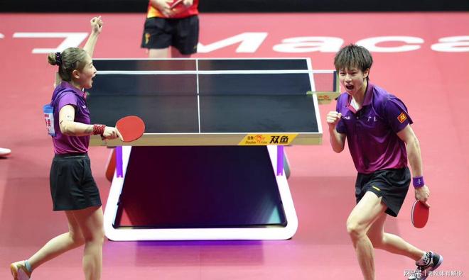 法国队碾压波兰队，林高远刷新纪录