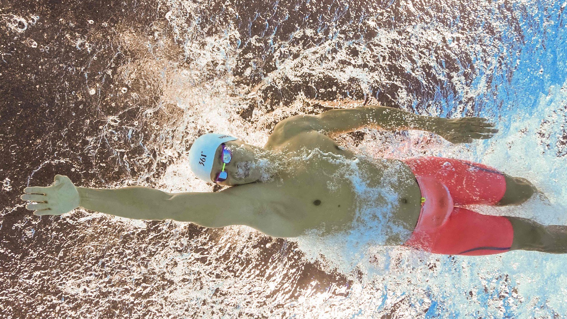 伊布法则，当一只猫成为更衣室领袖