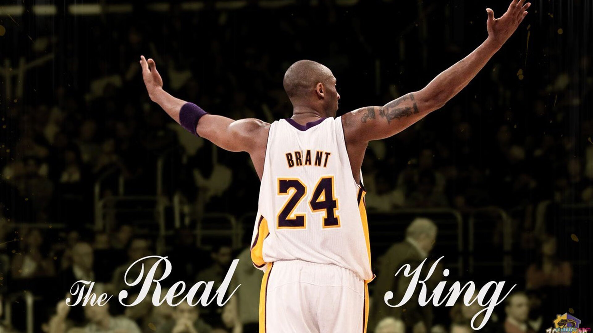 塞内加尔鏖战塞维利亚，当伊布在欧冠淘汰赛接管比赛